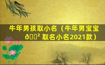 牛年男孩取小名（牛年男宝宝 🌲 取名小名2021款）